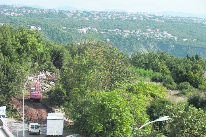 Foto: M.Aničić
