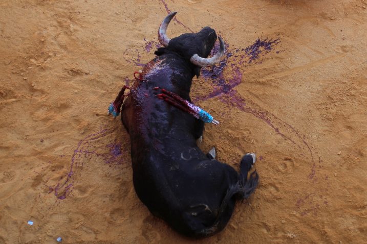 foto Reuters