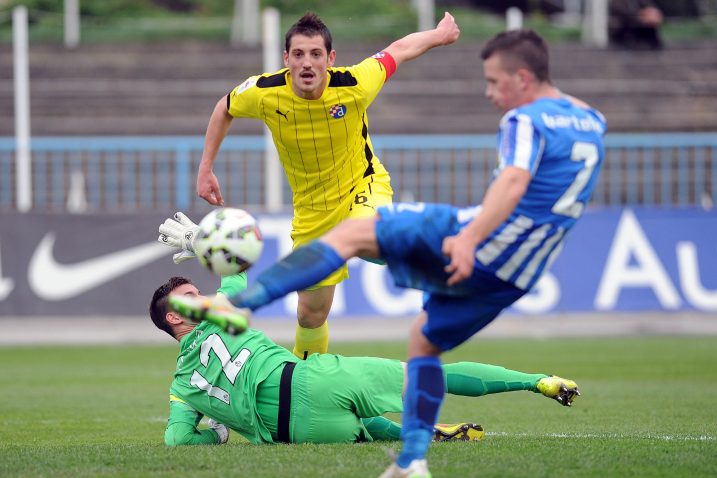 Foto D. Kovačević