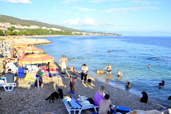 Arhiva Turističke zajednice Grada Crikvenice
