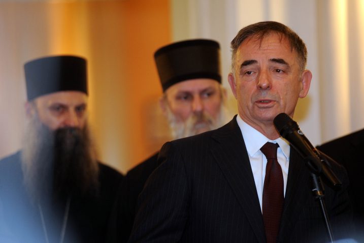 Foto D. Kovačević