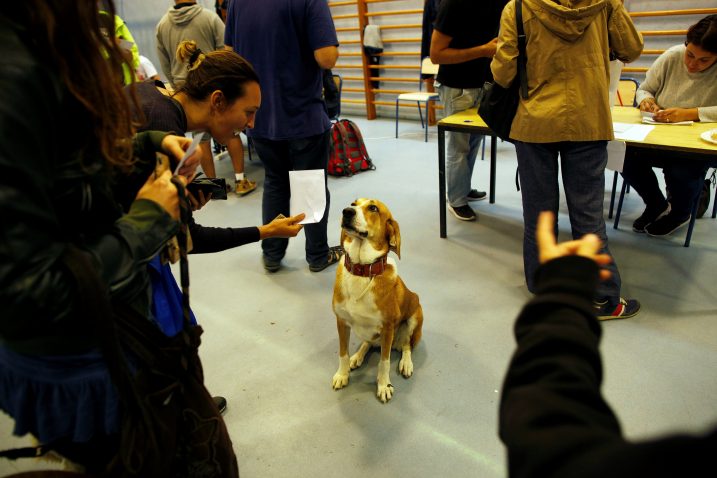 REUTERS