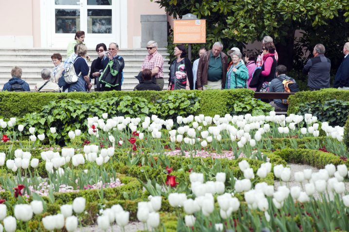 Foto M. Aničić