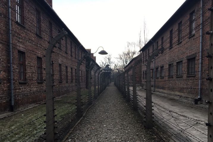 Auschwitz je očitovanje Zloga koje zorno svjedoči do koje niskosti, ispod razine animalnog, čovjek može pasti kada drugom čovjeku radi takve grozote / Foto Marin MILETIĆ