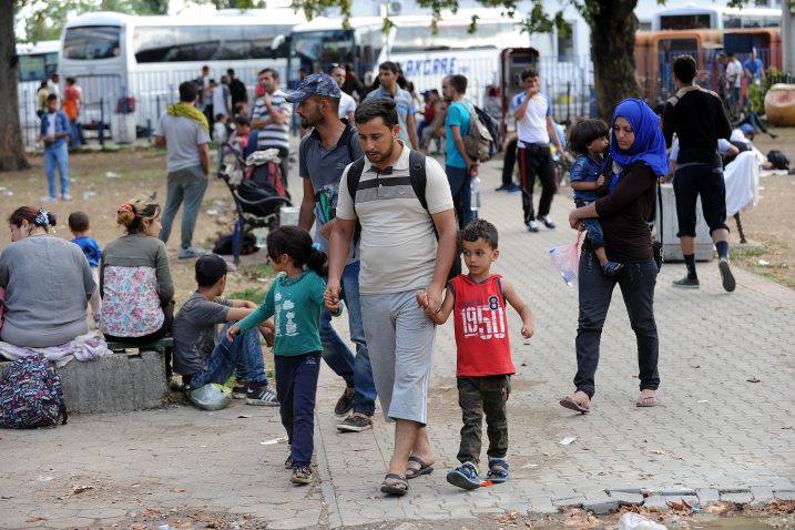 Izbjeglice se pod svaku cijenu žele dokopati Mađarske i Europske unije / Foto Davor KOVAČEVIĆ
