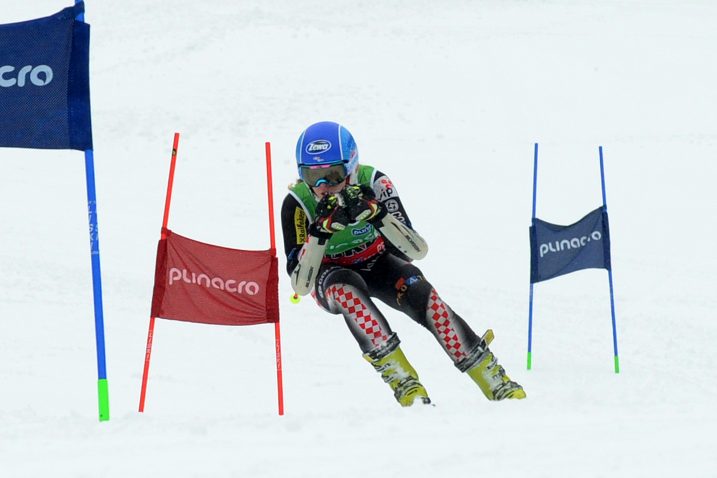 Snimio Silvano JEŽINA