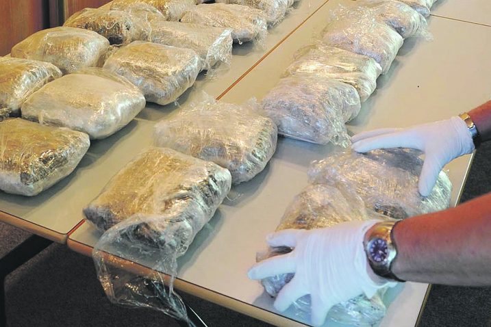Marihuana je bila sredstvo trgovanja velikog narkolanca / arhiva NL