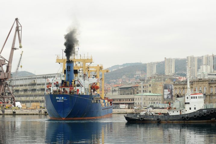 Foto S. JEŽINA