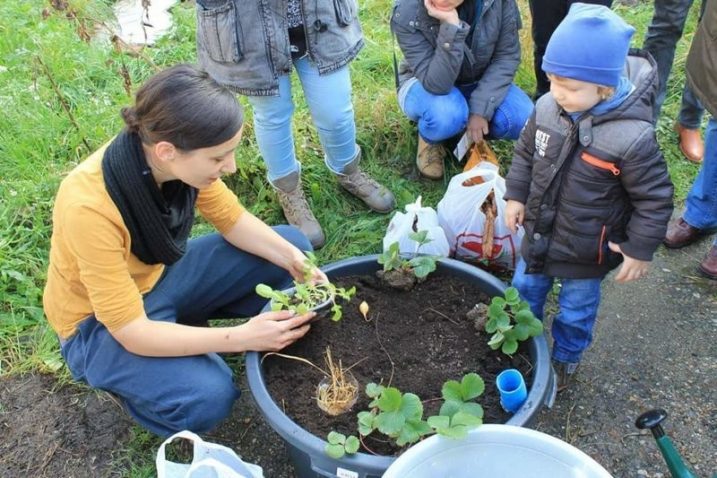 Kako dovesti zeleni život u gusto naseljena betonska naselja?