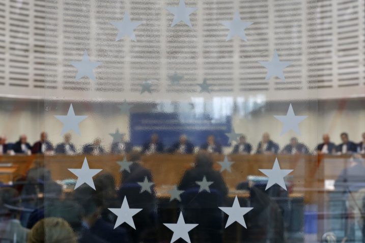 Izbrisani i štediše Ljubljanske banke najbrojniji u Stasbourgu / Foto Arhiv NL