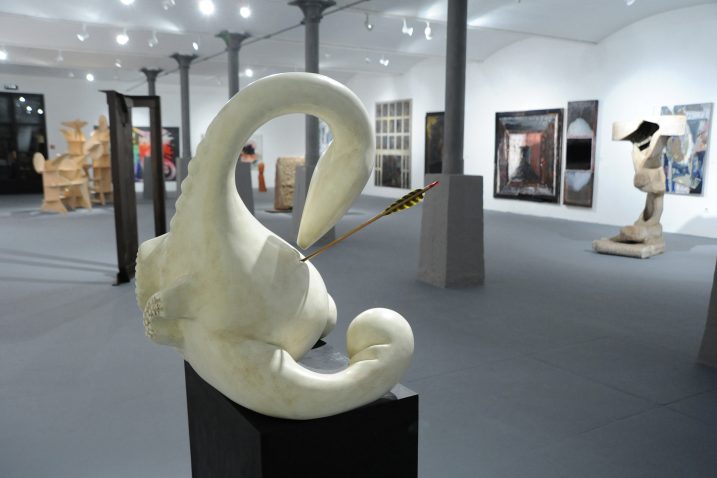 Foto D. JELINEK