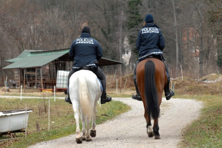 Snimio Silvano JEŽINA / NL arhiva