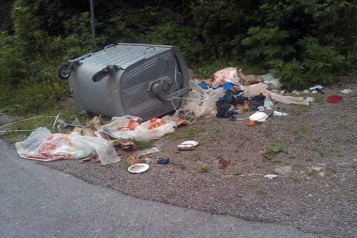 Prevrnuti kontejner u Čabru / Snimio Ž. MALNAR