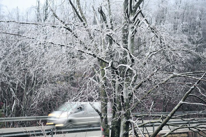 Foto S. Drechsler