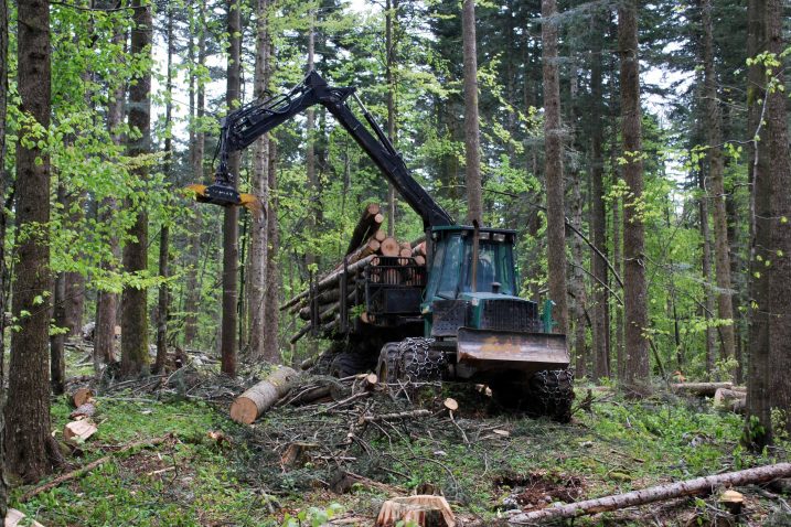 Foto M. Krmpotić