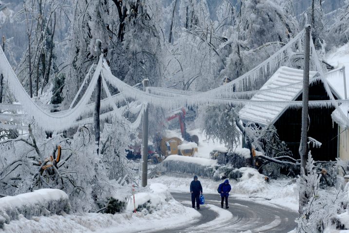 Gorski kotar je u veljači prošle godine poharala elementarna nepogoda,  ledena kiša  / Foto M. GRACIN