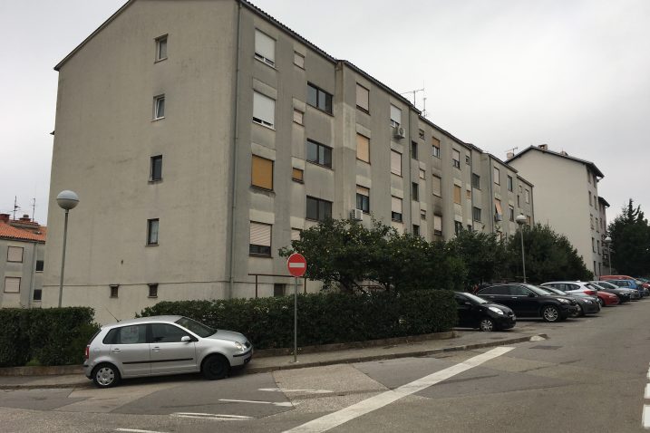 Foto: F. VEŽNAVER