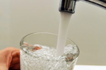 Ilustracija / Foto Arhiva NL