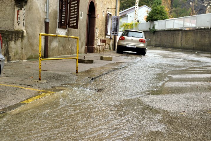 Foto S. Ježina