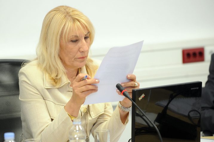 Upozorava na posljedice – Nada Zgrabljić-Rotar / snimio D. KOVAČEVIĆ