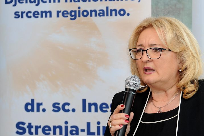 Ines Strenja Linić / Snimio Damir ŠKORMLJ / NL arhiva