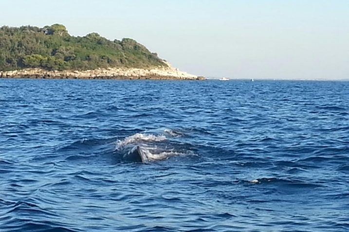 Foto T. Ban Bastijan