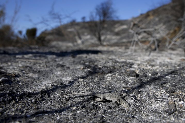 Reuters