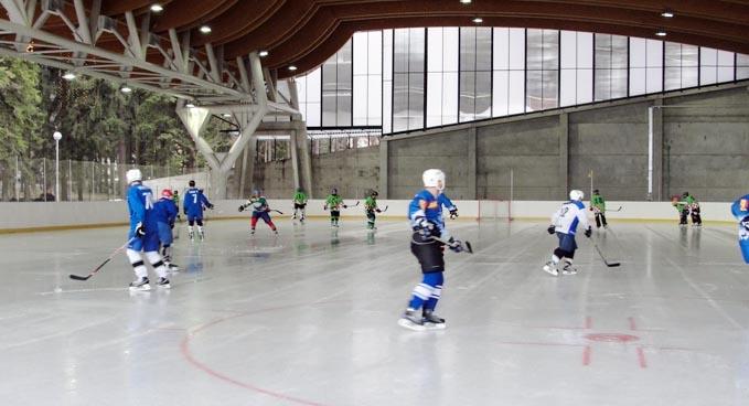 Međunarodni hokej prvi put u povijesti delničke sportske dvorane  / Foto M. KRMPOTIĆ