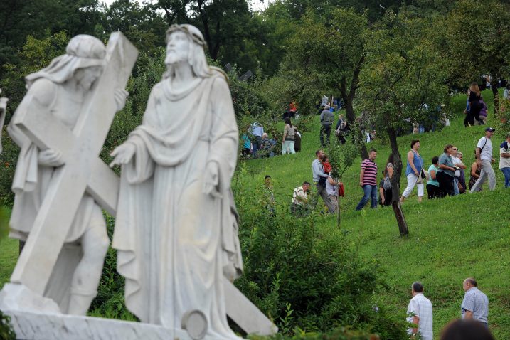 Foto D. Kovačević