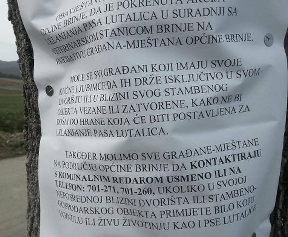 Fotografija koju je objavila Noina arka