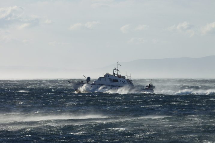 NL arhiva