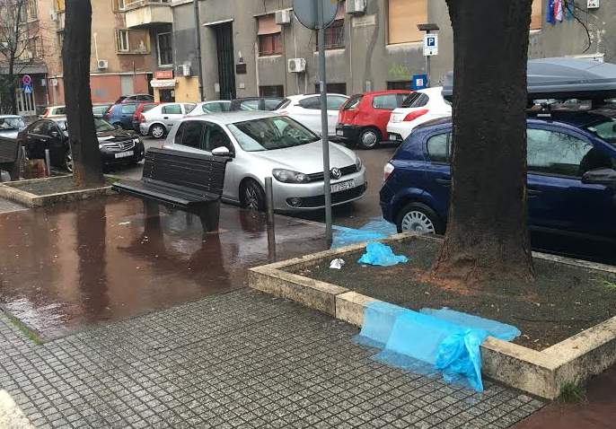 Foto F. Vežnaver