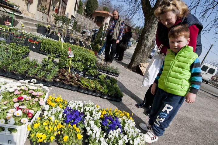Foto M. Aničić