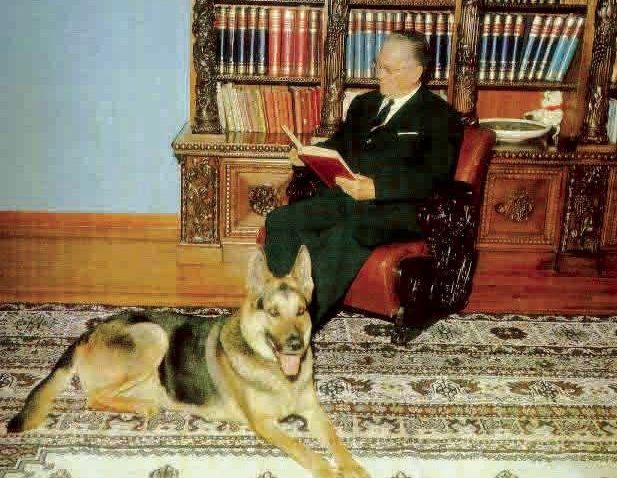 Josip Broz Tito je oduvijek volio vučjake i pudle