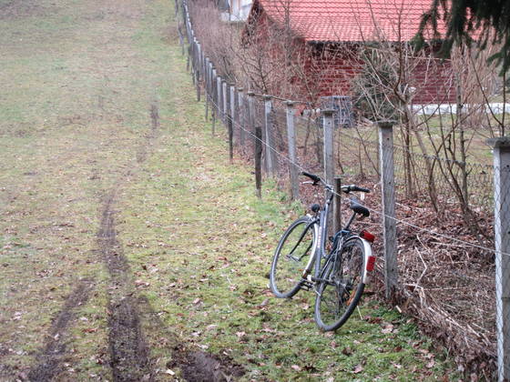Foto: Nada Černič Cvetanovski / Delo.si