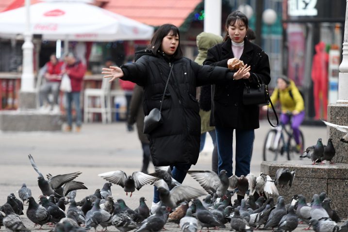 Foto Denis Lovrović