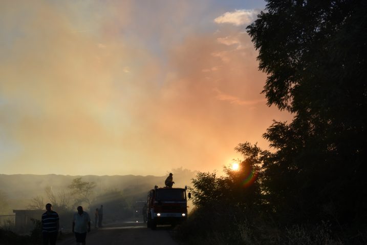 Foto M. Aničić