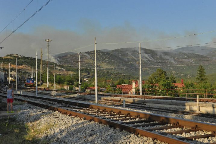 Foto M. Aničić