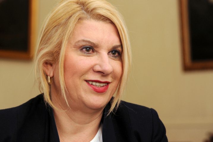 Vesna Škare Ožbolt / Foto Darko JELINEK