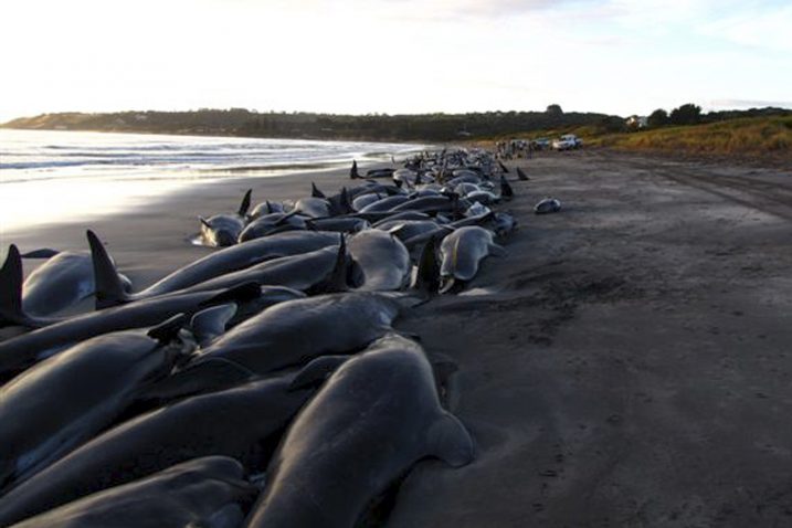 Ilustracija / Foto Reuters