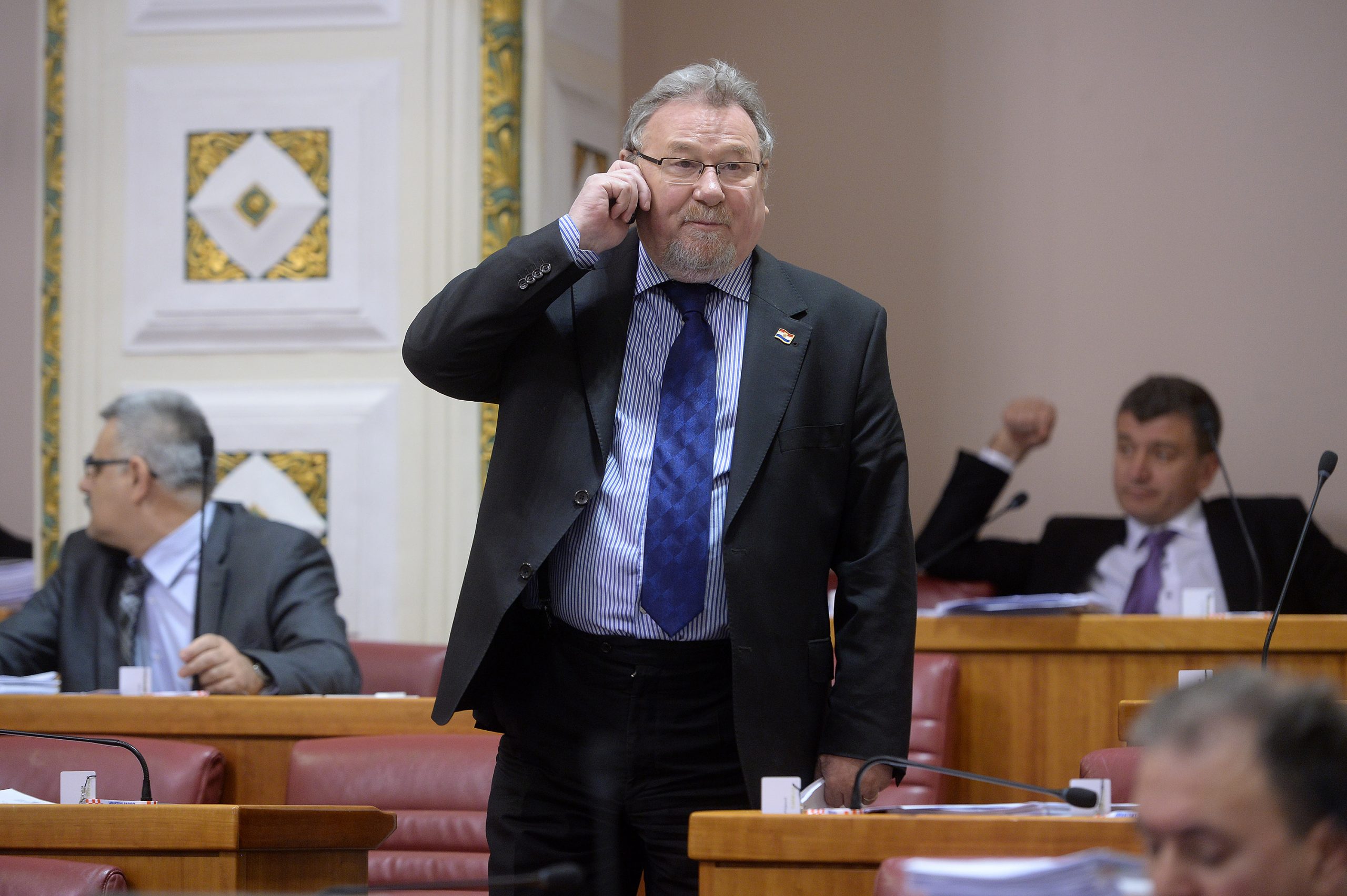 Vladimir šeks dijete