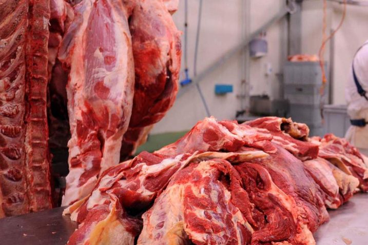 Salmonela u mesu može biti vrlo efikasno uništena ozračivanjem, navodi Mihaljević / Foto Vedran KARUZA