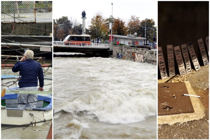 Foto D. Škomrlj / S. Drechsler
