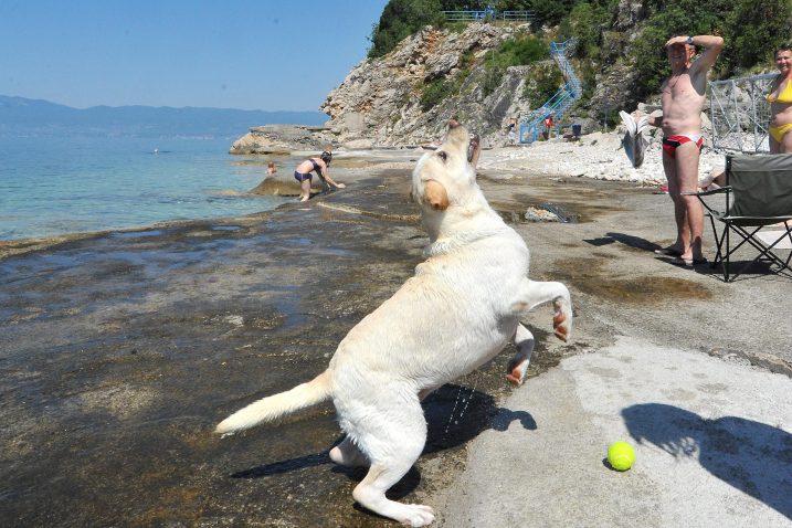 Kućni ljubimci i njihovi vlasnici već uživaju na »svojoj« plaži / Foto S. DRECHSLER