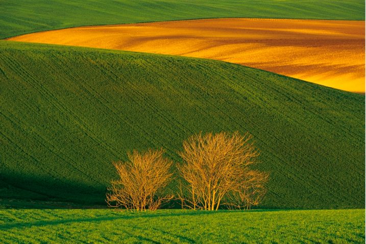 Franco Fontana –  Basilicata 1995.