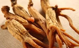 Foto www.allnaturalenergy.com