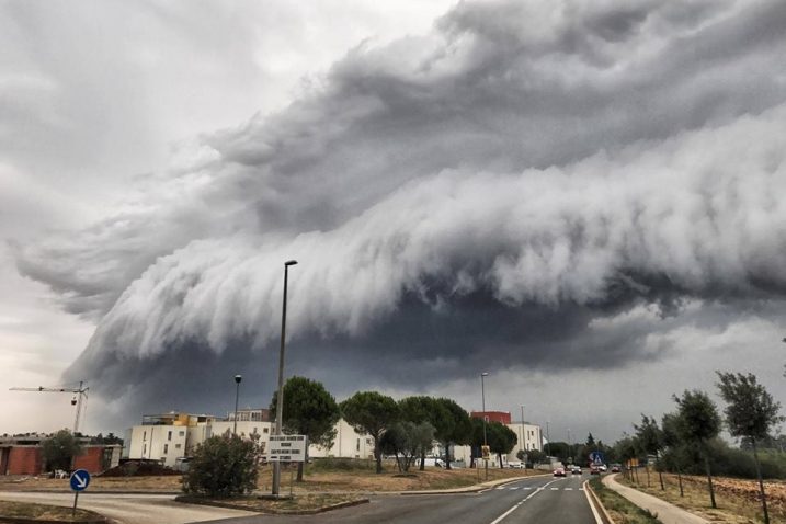 Novigrad, foto: Pier Luigi Masetto / Istramet