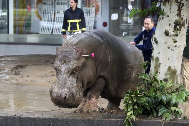 Reuters