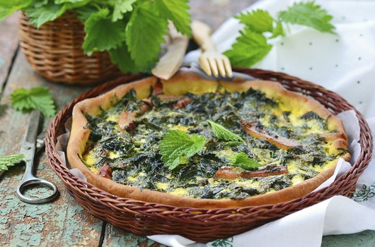 Quiche s koprivom