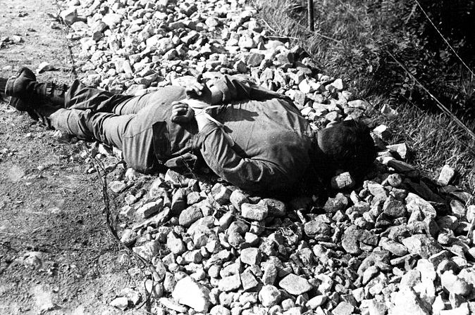 foto ilustracija: hr.wikipedia.org